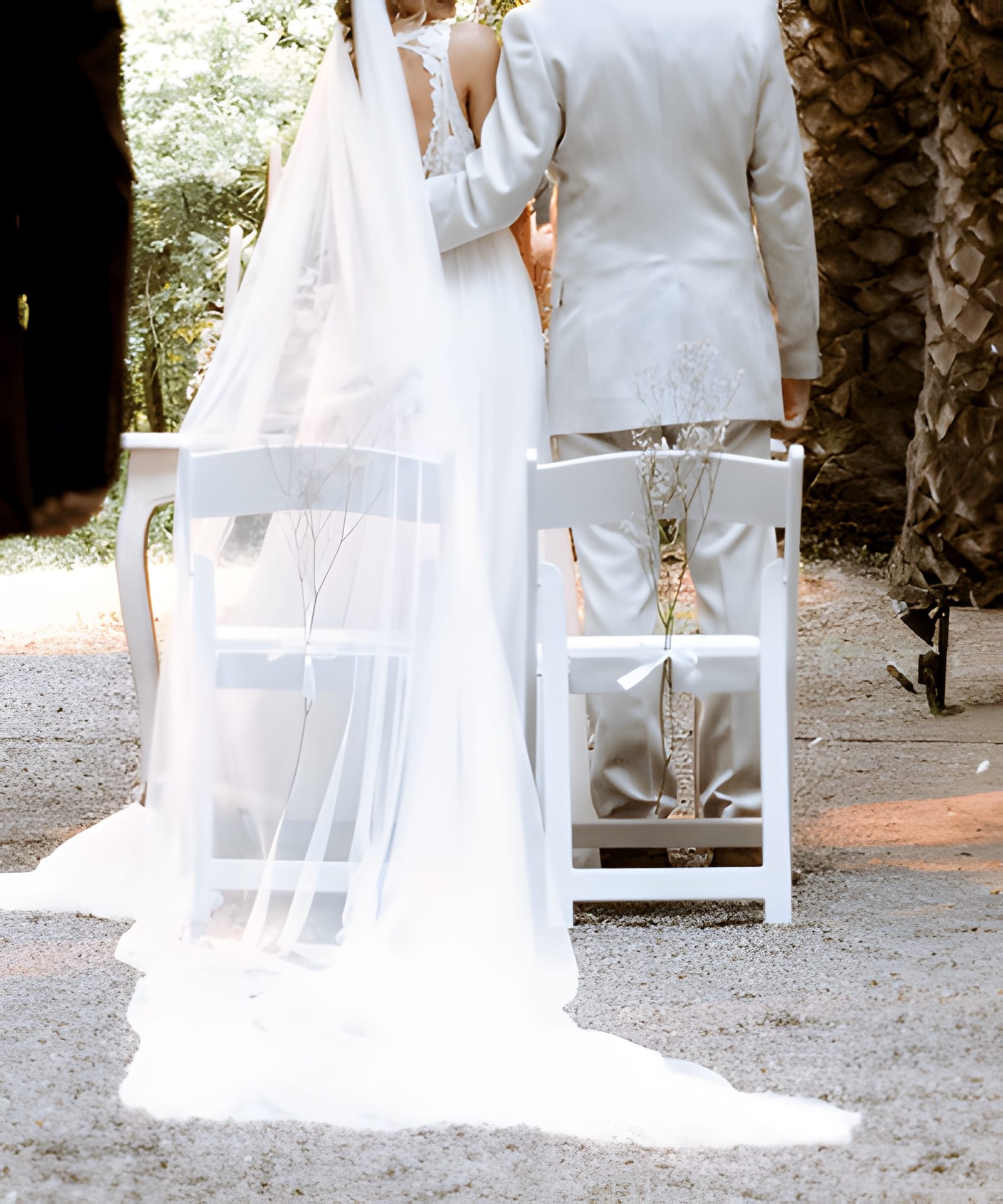 Vestido Usado Pronovias - 1842 - foto 8 de 8